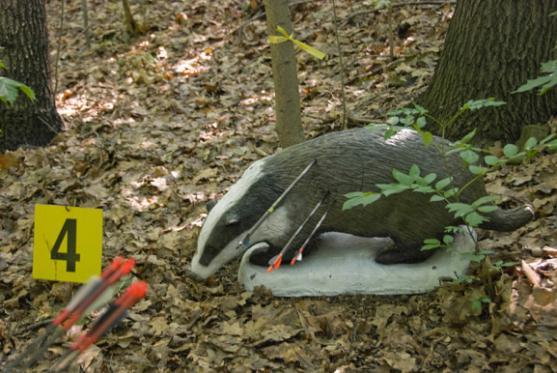 V Adršpachu se závodilo v 3D lukostřelbě do figurín zvířat