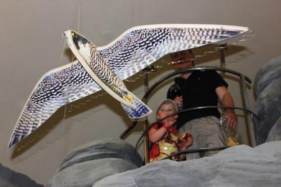 Skály, písek, puzzle? Nová hravá expozice Infobod láká do kláštera