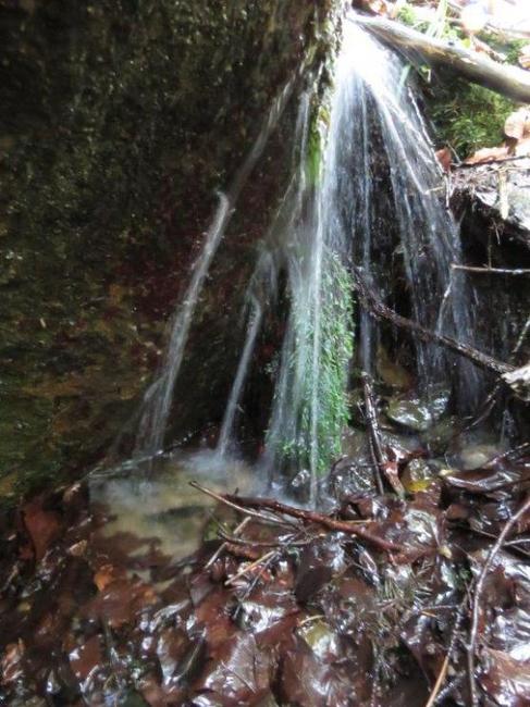 Hrozba sucha – pomůže zádrž vody v krajině? 
