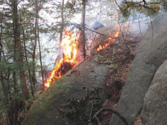 Hasiči dohašovali v Adršpachu požár hrabanky v těžko přístupném terénu