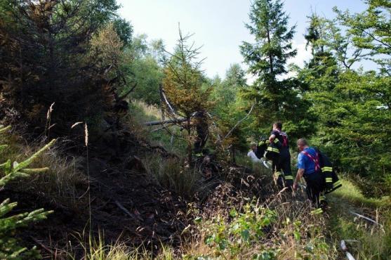Hasiči likvidovali požár stromků v oblasti Ruprechtického Špičáku, ale i popadané stromy