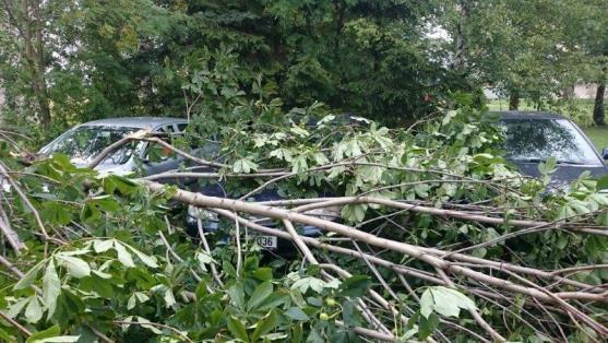 Větrná smršť v Broumově lámala stromy a ničila střechy