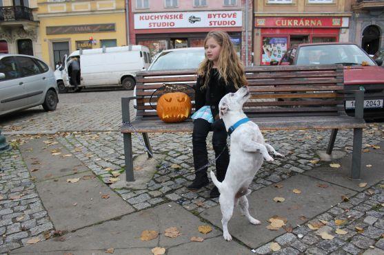 Na broumovském náměstí se dlabaly dýně už po osmé