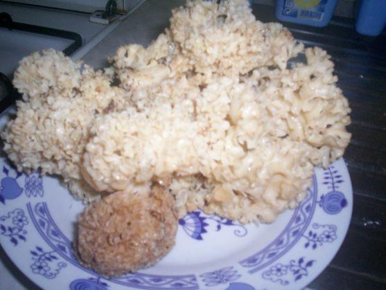 Houbová krása z lesů Broumovska