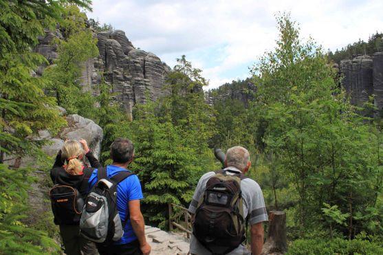 Začalo pozorování hnízdících sokolů v Teplických skalách