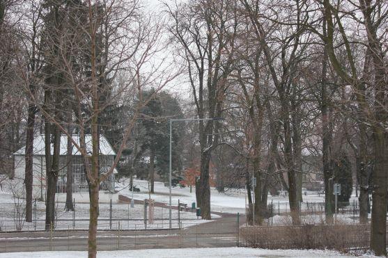 V broumovském Schrollově parku se budou kácet stromy 