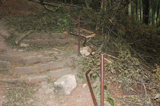 Turistická cesta z Křinic na Hvězdu je poničená těžbou dřeva. Lesy ČR slíbily nápravu 