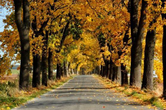 Značka BROUMOVSKO regionální produkt® má nové držitele 