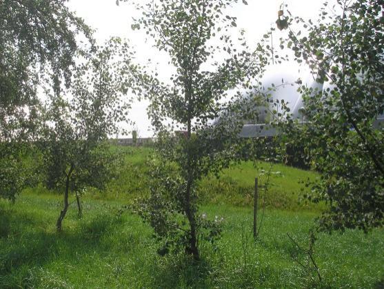 Předseda zemědělského družstva pod Ostaší na Policku řídí podnik více než 22 let 