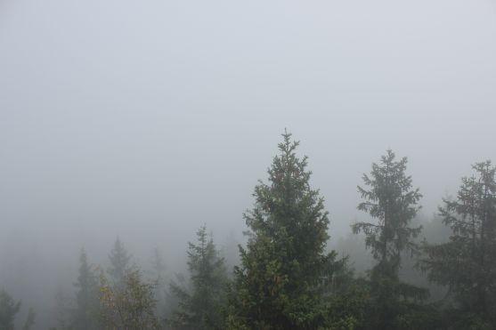 Rozhlednu při slavnostním otevření zahalila mlha. "Aspoň budete mít důvod, přijít sem ještě jednou," komentoval starosta Milan Brandejs