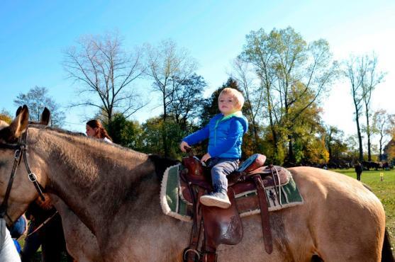 Hubertova jízda Jetřichov pomáhá 