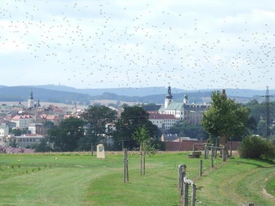Golfové hřiště Grosshof je v České republice hodně ceněné