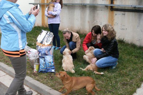 Děti z Červeného Kostelce obdarovaly broumovský útulek