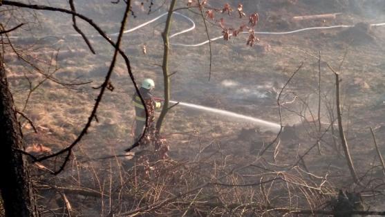 Hasiči na Broumovsku dvakrát vyjížděli k požárům trávy a lesního porostu