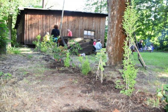 Rodiče dětí kuli na internetu pikle. Pak zasadili nový živý plot 