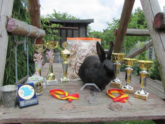 Hopáci z Broumova slaví úspěchy 