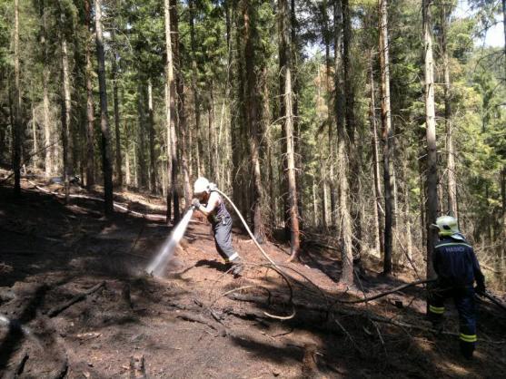 Hasiči likvidovali požár lesního porostu u Ruprechtického Špičáku