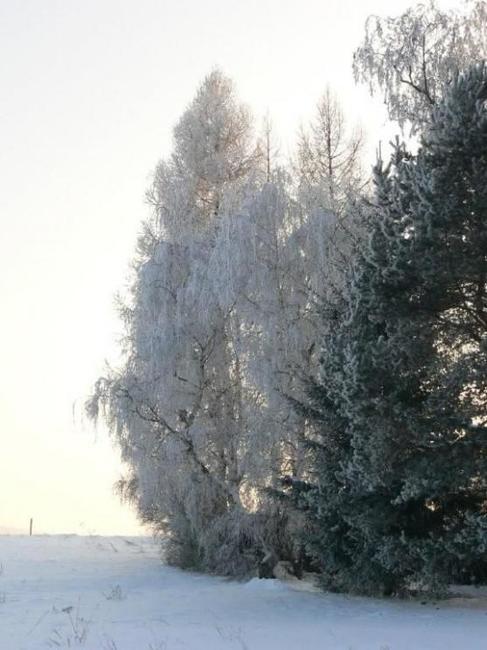 Chcete zimu? Přivolejte ji! 