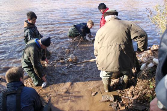 Ryby z rybníku v Hejtmánkovicích lovili hasiči