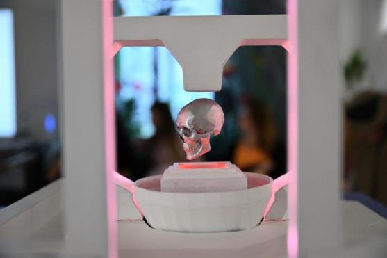 Sochařská linka festivalu Sculpture line zavítala do Broumova