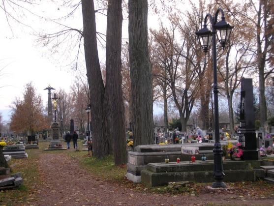 Broumovská radnice dokončuje investiční akce plánované pro letošní rok