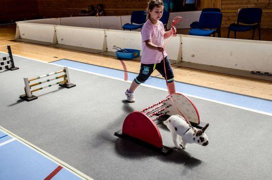 V Broumově závodili králíci 