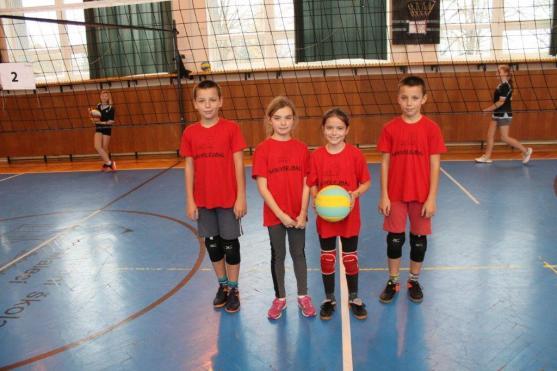 Volejbalisti mají stále co na práci