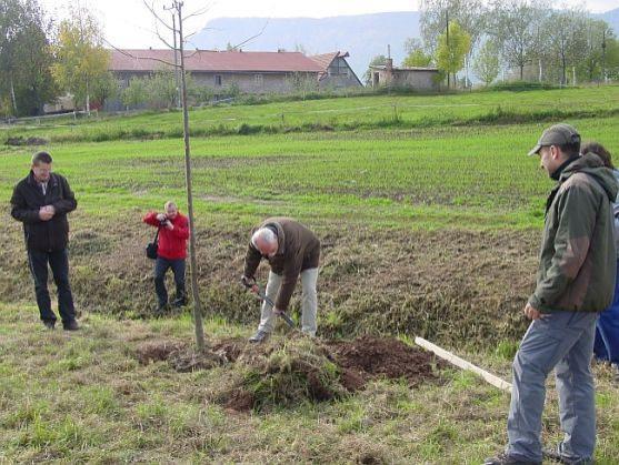 Malá slavnost stromů Broumovska