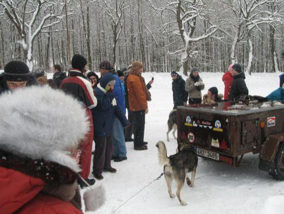 Mentálně postižené děti z polského stacionáře v Dzierżoniowě jezdili na Janovičkách u Broumova se psím spřežením