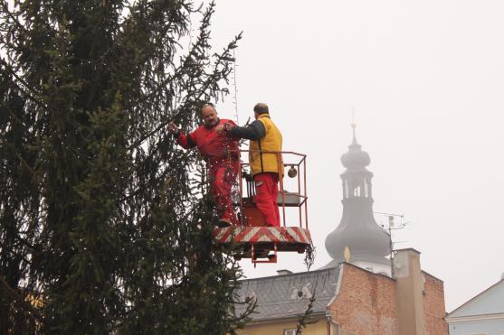 Vánoční stromy ve městech a obcích jsou připraveny na rozsvícení