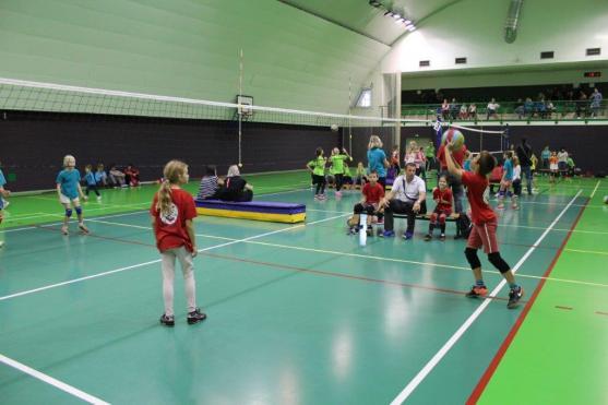 Rozehrála se soutěž v "barevném" volejbale