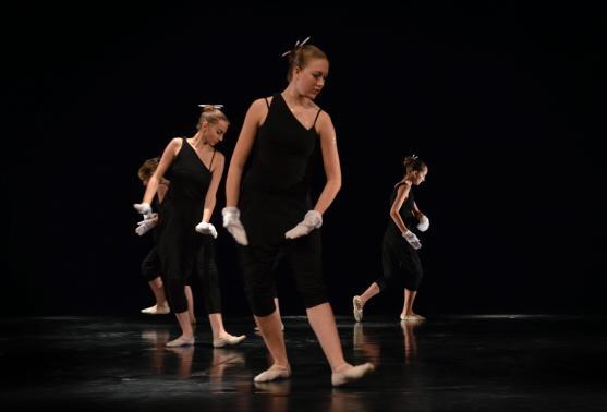 Tanečnice ZUŠ Broumov vystoupily na celostátní přehlídce scénického tance Tanec, tanec...2011 v Jablonci nad Nisou 