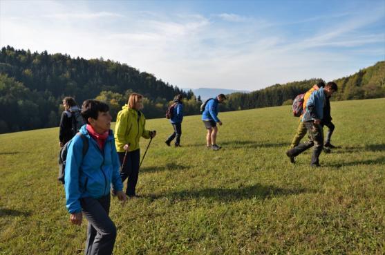 S geologem za prvohorními sopkami Javořích hor