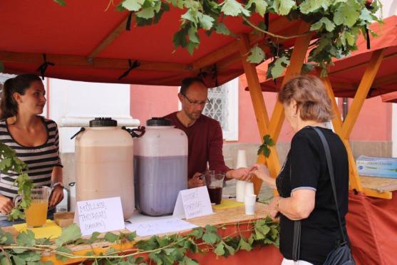 V broumovském klášteře se bude ochutnávat bílý, červený i růžový burčák