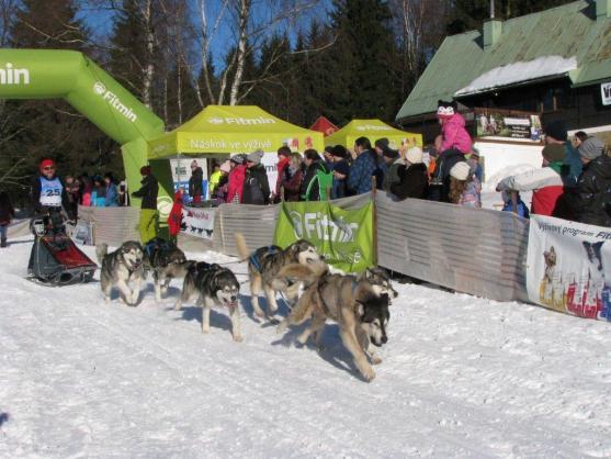 Změna místa závodům psích spřežení neuškodila. Naopak!