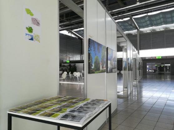 Tempus fugit mezi charismatiky