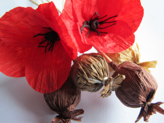 Workshopové dovádění v Muzeu papírových modelů 