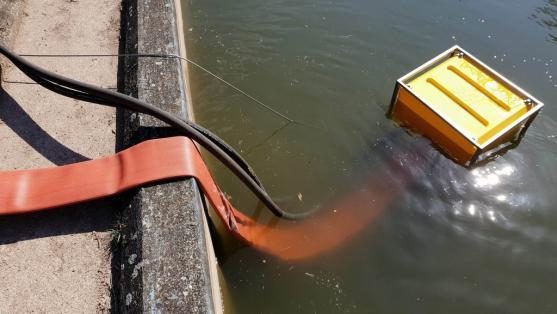 Čeští a polští hasiči nacvičovali společné hašení lesního požáru na státní hranici
