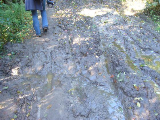 Přípravy na 25. ročník turistického pochodu Teplicko - adršpašská 33 jsou v plném proudu