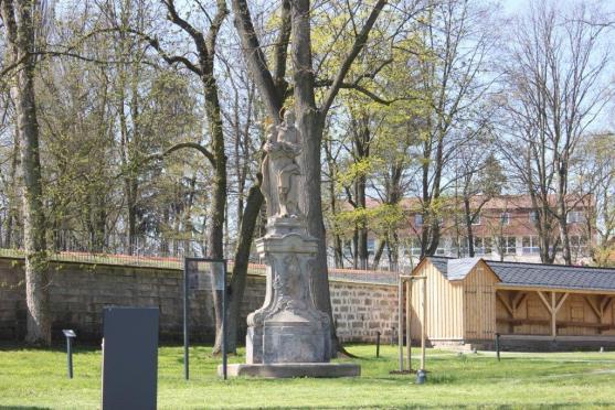 V klášterní zahradě byl zasazen nový vzácný strom Dřezovec trojtrnný