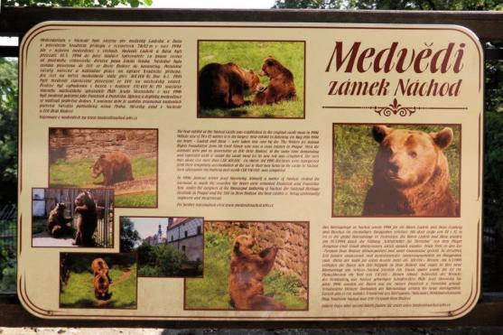 Ludvík a Dáša se musí hýbat - náchodským medvědům se změnilo krmení