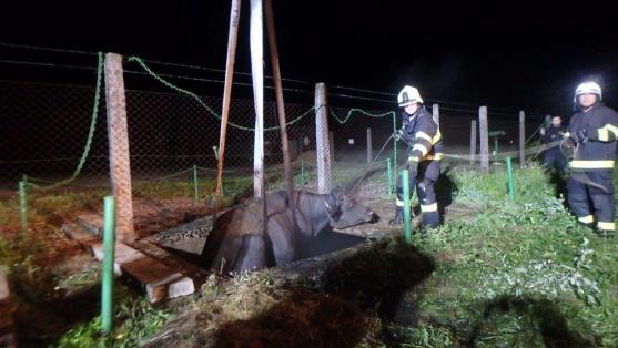 Silvestrovské ohlédnutí za zásahy hasičů v Královéhradeckém kraji v roce 2017