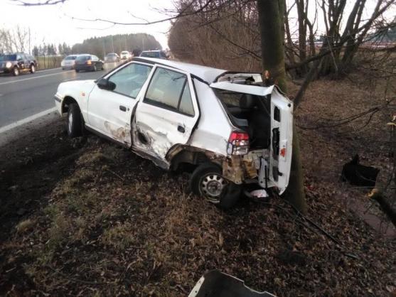 "Tragickým následkům dopravních nehod nejlépe zabrání prevence, nikoliv plošné kácení stromů," tvrdí nezisková organizace Arnika