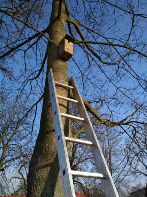 V Trutnově naleznete 67 nových ptačích budek