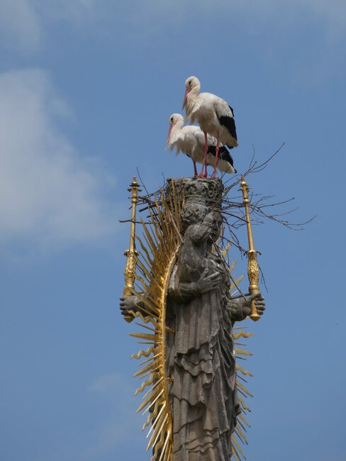 Symbol štěstí na broumovském náměstí