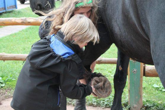 Za vysvědčení Den na koni