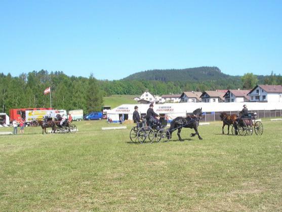 Ředitel závodů spřežení v Polici nad Metují o jejich budoucnosti i vzniku