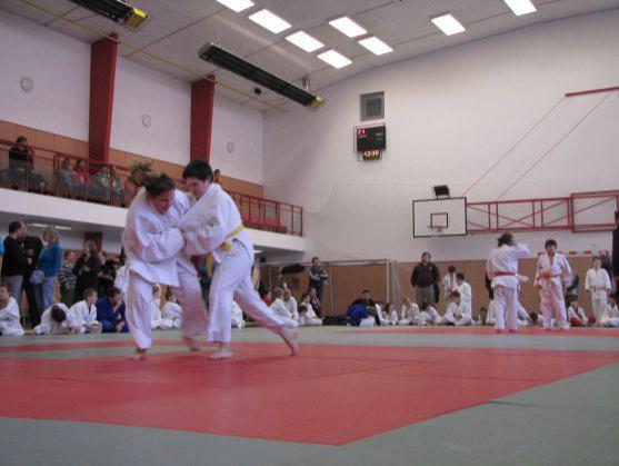 Žáci a mláďata Judo Clubu Broumov opět úspěšní. Tentokrát v Semilech