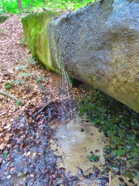Hrozba sucha – pomůže zádrž vody v krajině? 