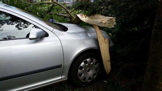 Větrná smršť v Broumově lámala stromy a ničila střechy